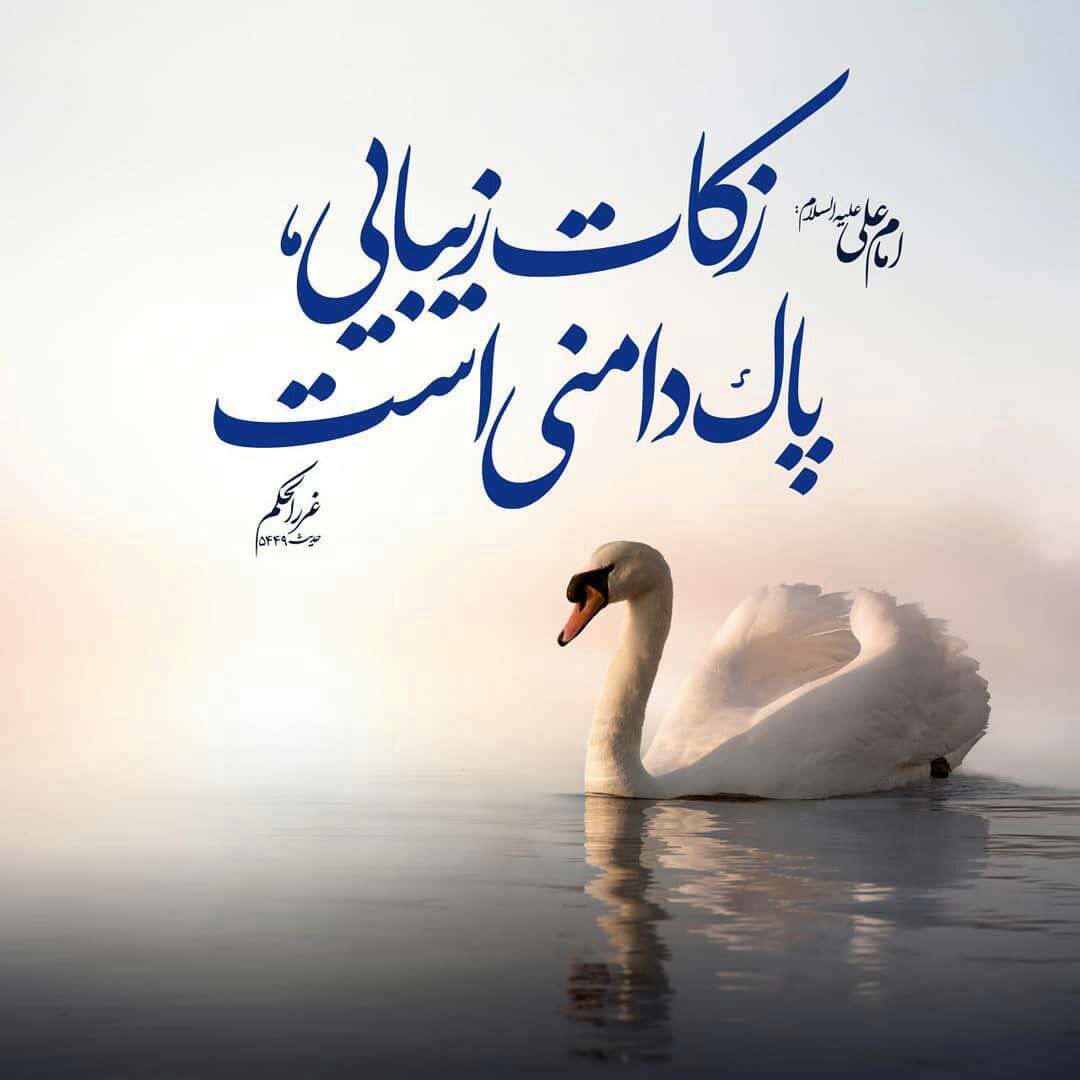 حدیثی از امام علی